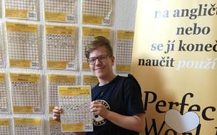 Individuální jazykový kurz a doučování Plzeň 1